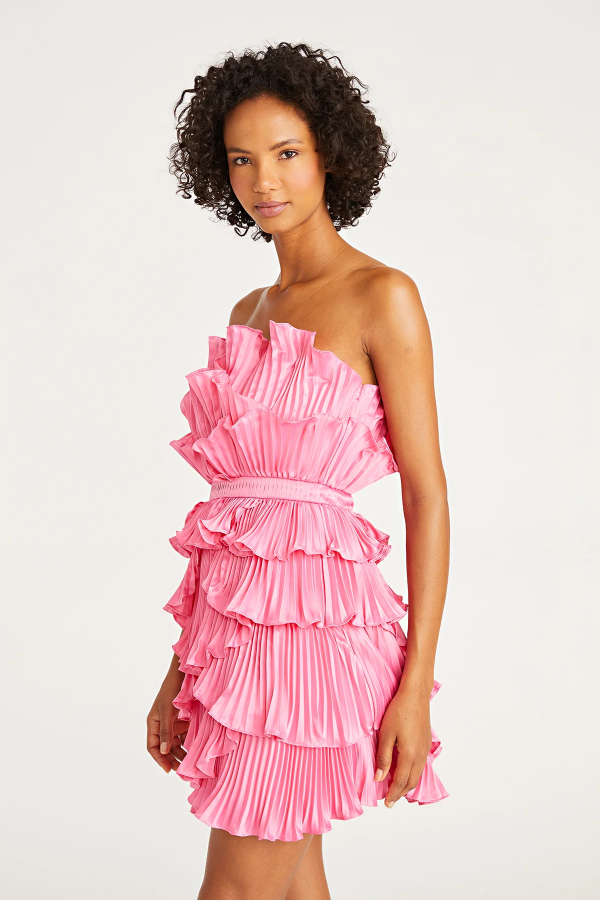 Reed Pleated Shell Mini Dress - Image 4