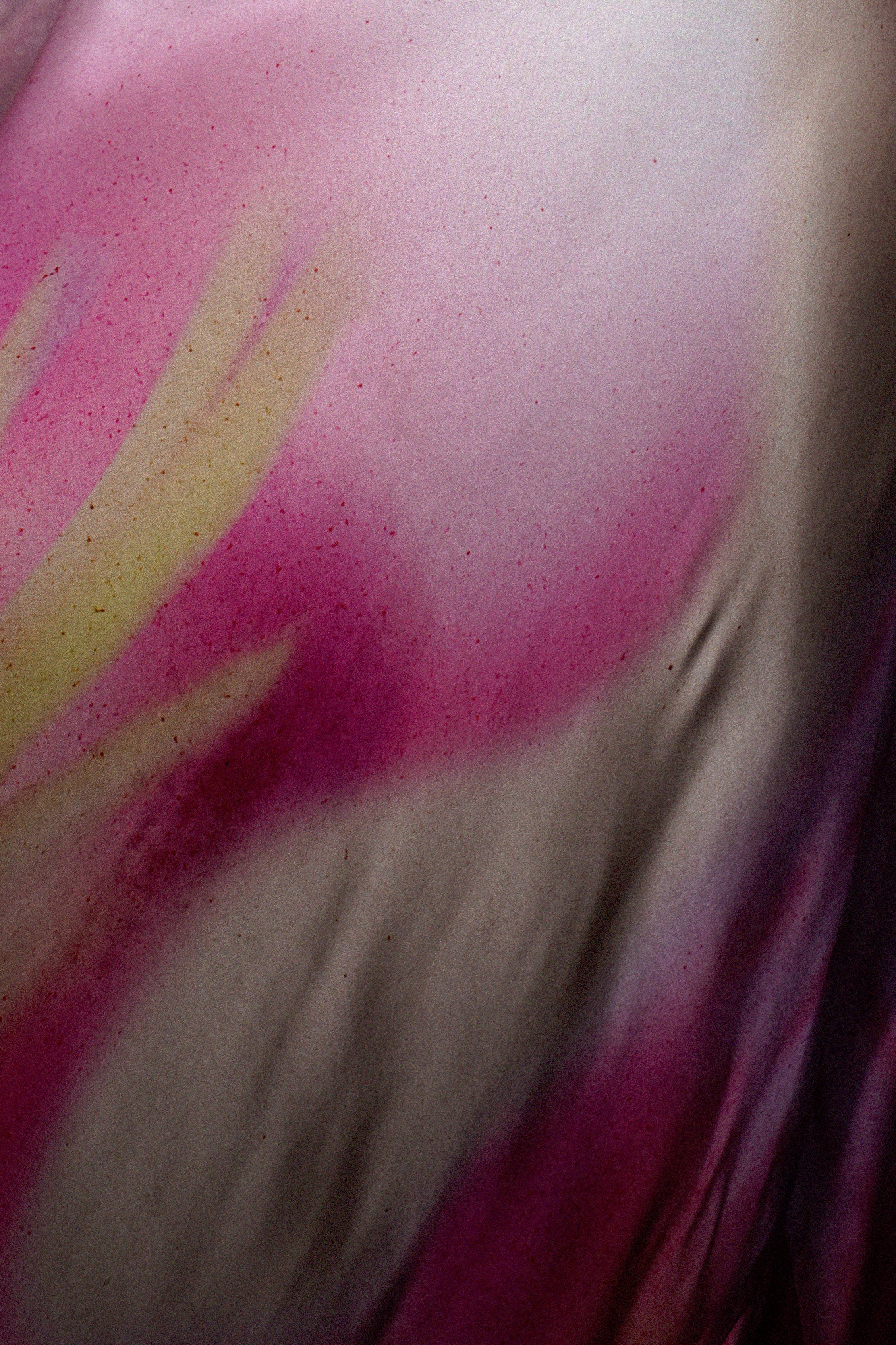 Zarita Gown - Image 6